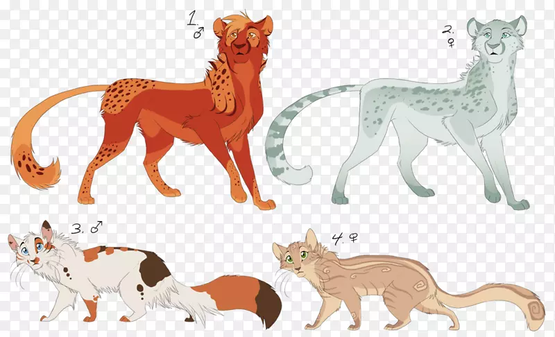 猫陆生动物食肉猎豹