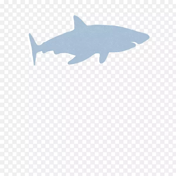 安奎姆鲨鱼软体动物海洋海洋生物鱼类-幼鲨