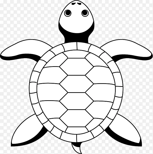 海龟线画.乌龟