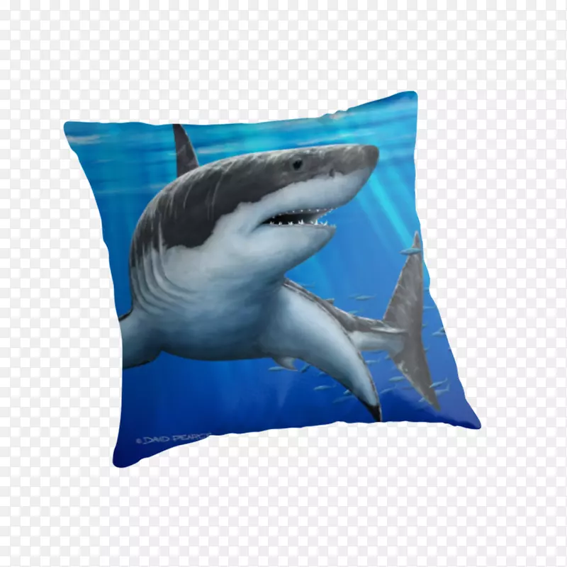大白鲨软体动物鱼枕幼鲨