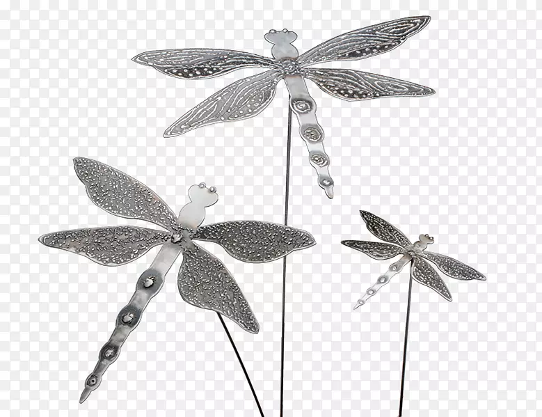 昆虫黑白单色摄影蝴蝶蜻蜓