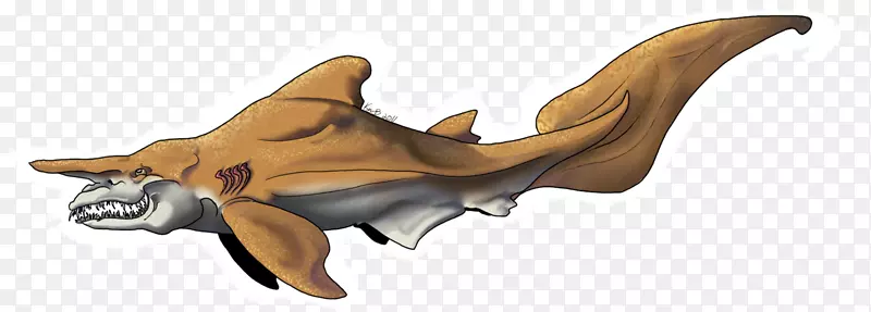 巨鲨饥饿鲨鱼进化大白鲨沐浴鲨鱼-幼鲨