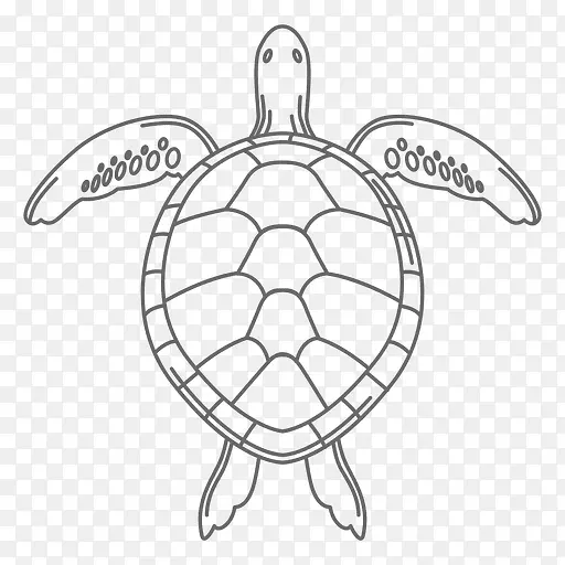 绿海龟爬行动物图-龟