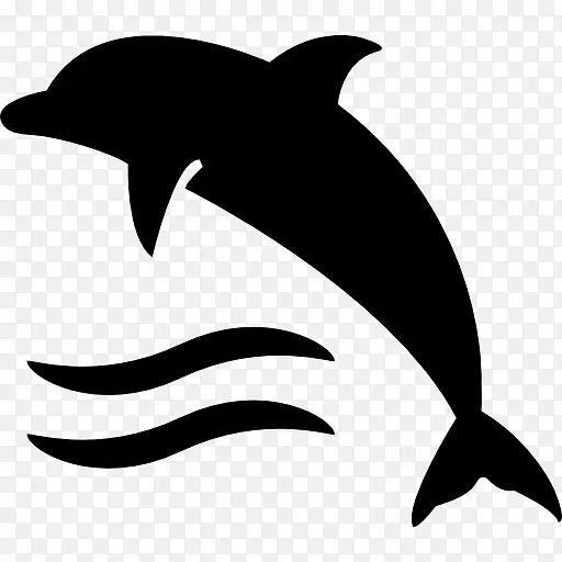 海豚电脑图标.水波