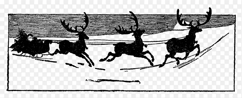 圣诞老人的驯鹿-圣诞老人雪橇