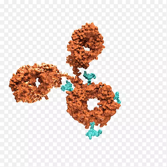 抗药物结合药物单克隆抗体生物技术药物