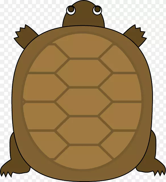 海龟爬行动物乌龟和兔子剪贴画乌龟