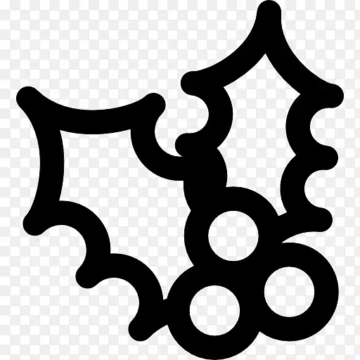 电脑图标封装后记剪辑艺术-槲寄生