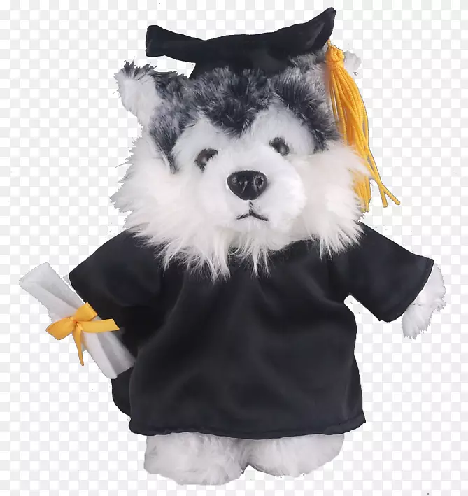 毛绒玩具和可爱玩具狗毕业典礼学术礼服t恤毕业礼服