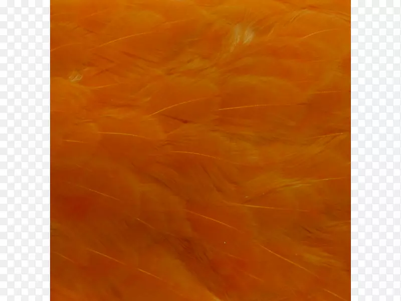 丙烯酸漆木/m/083 vt丙烯酸树脂棕母鸡