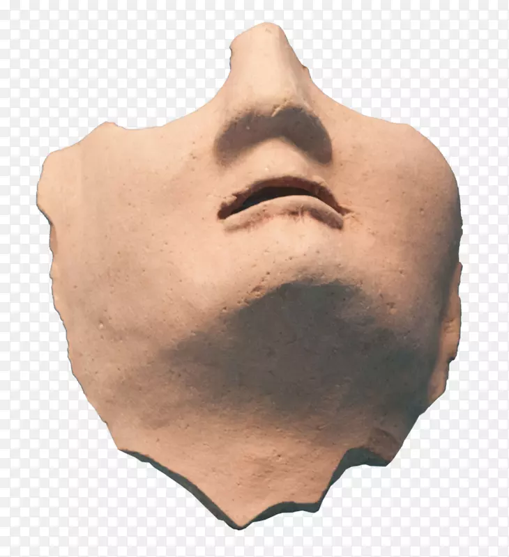 面部雕塑鼻子艺术