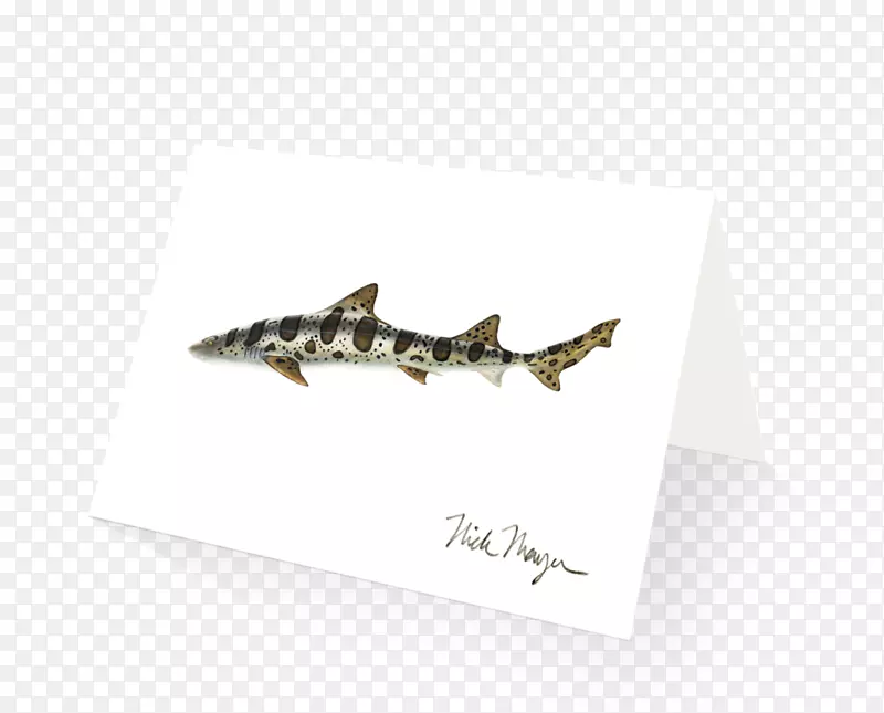 珠宝字体-幼鲨