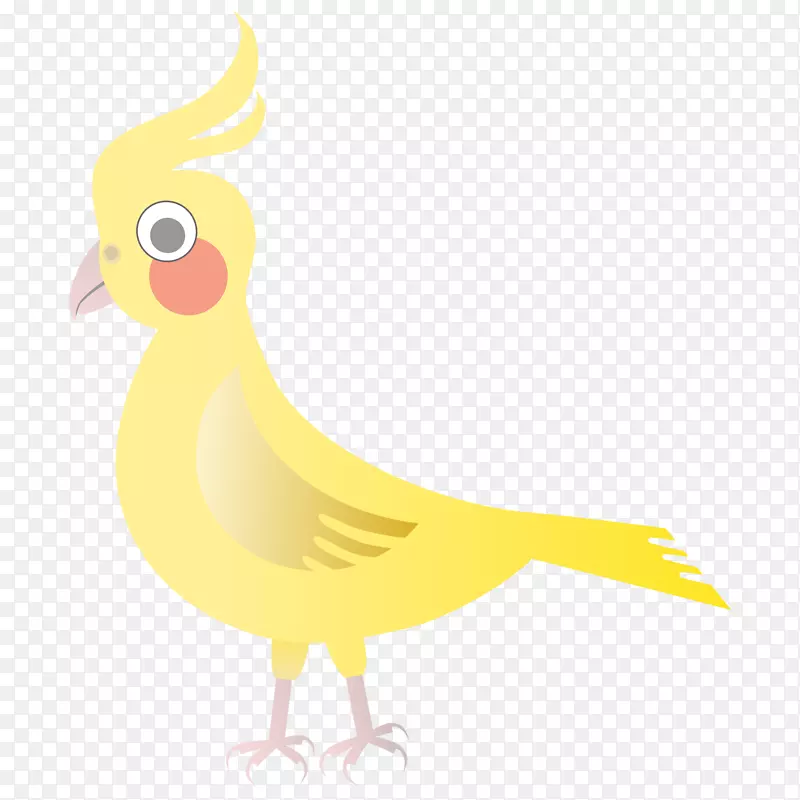 鸭水鸟笼形鸡