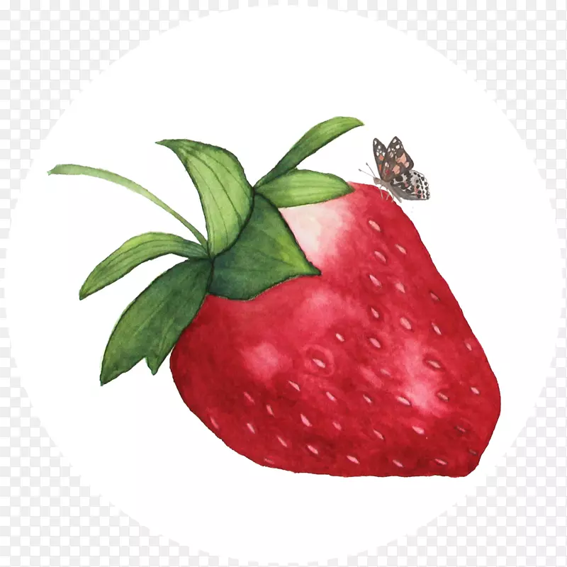草莓水彩画辅料水果食品水彩画蝴蝶