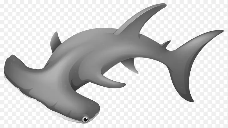 锤头鲨剪贴画-鲨鱼