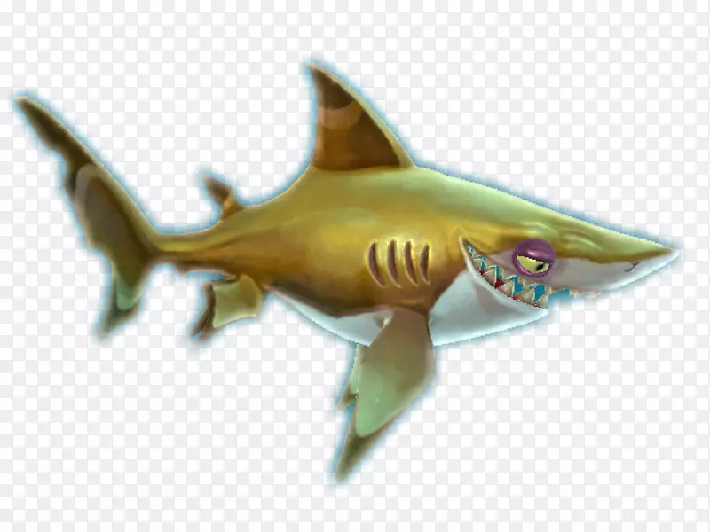 饥饿的鲨鱼世界饥饿的鲨鱼进化安魂曲鲨鱼黑头鲨虎鲨幼鲨
