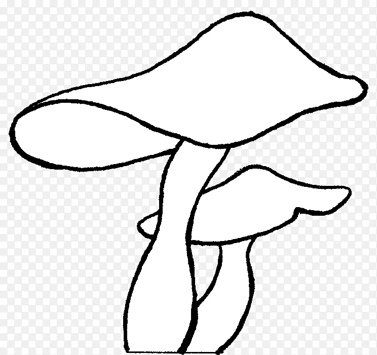 绘画艺术-真菌