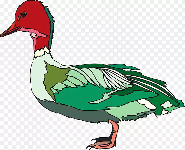 鸭鸟鹅夹艺术-粉红色鸟
