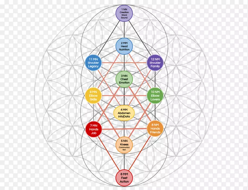 生命之树，重叠圆圈，网格神圣几何学呼吸-爱情树
