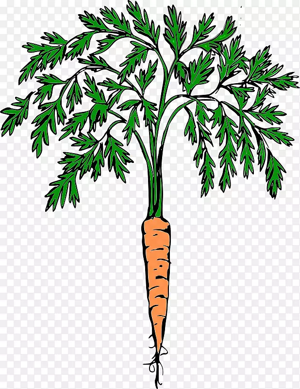 胡萝卜经济作物食品剪贴画胡萝卜