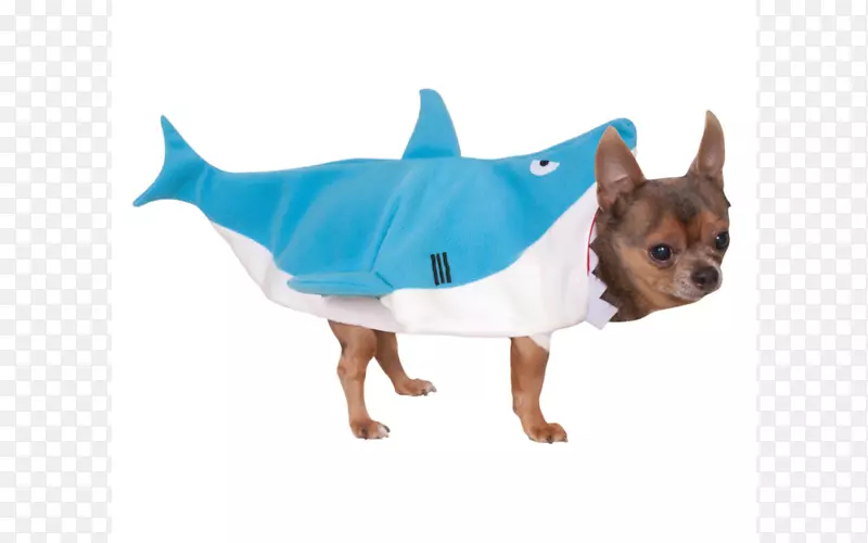 苏格兰猎犬马耳他犬约克郡猎犬服装-小鲨鱼