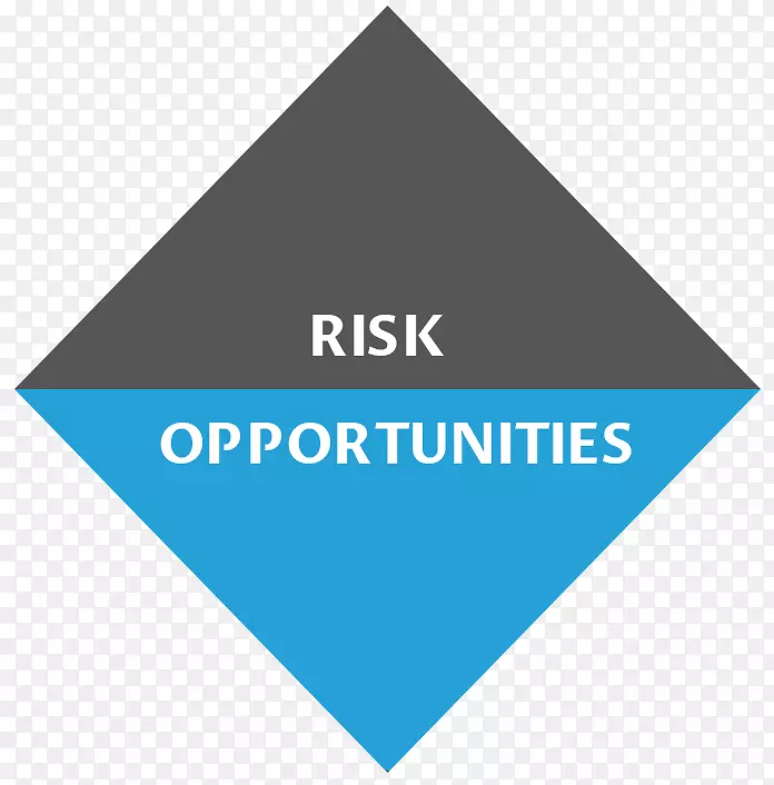 大急流妇女机会(成长)商业风险组织投资者风险