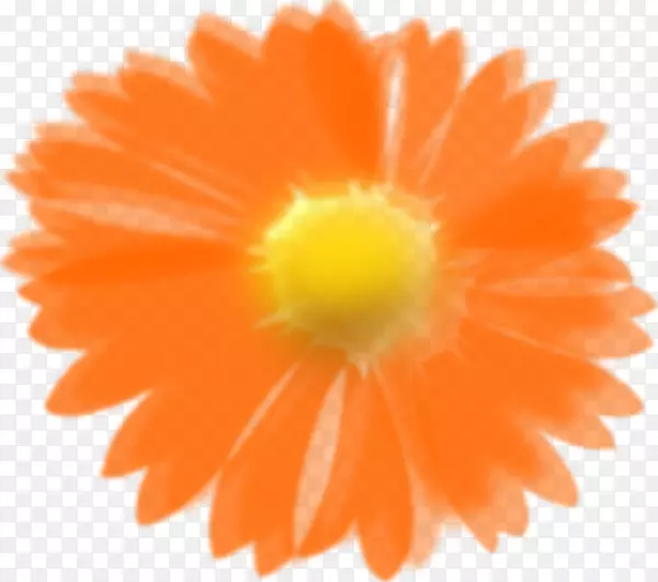 花橙剪贴画-夏威夷花