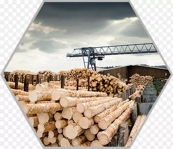 锯木厂刨花板木材-森林-粉末爆炸