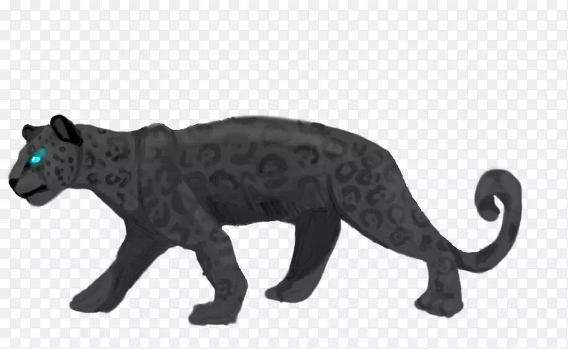 猫YouTube食肉动物黑豹