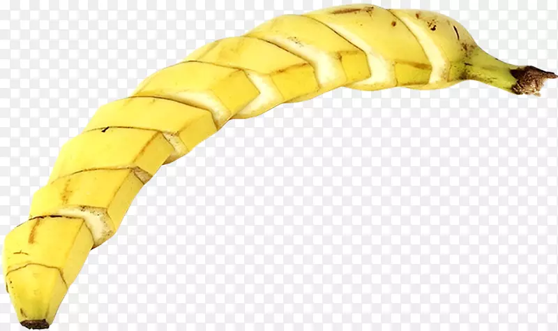 香蕉昆虫无脊椎动物幼虫-香蕉