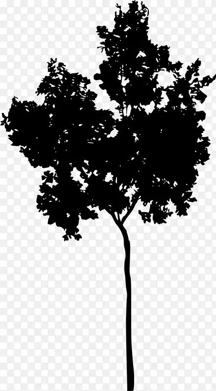 树木木本植物剪影单色摄影.树木轮廓