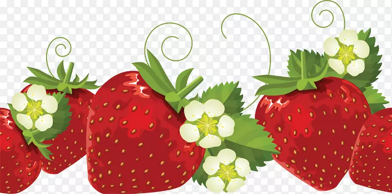草莓边缘和框短蛋糕剪贴画.草莓果