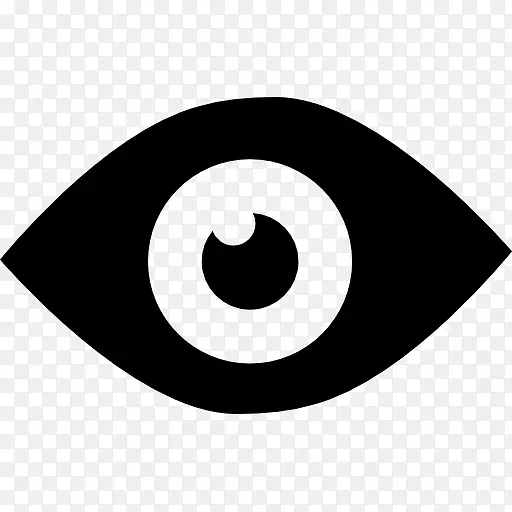 计算机图标符号眼睛可见光谱眼睛