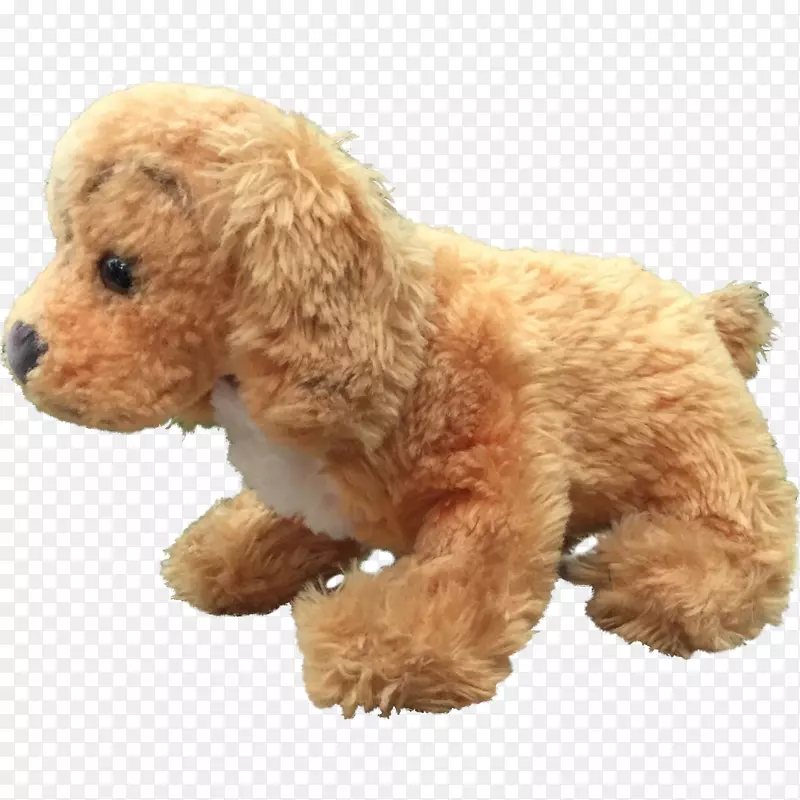 小型贵宾犬玩具犬西班牙水狗标准狮子狗