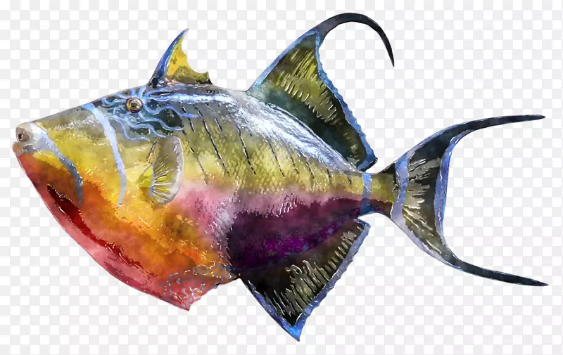 天使鱼，热带鱼，暹罗鱼，搏击鱼.水彩画