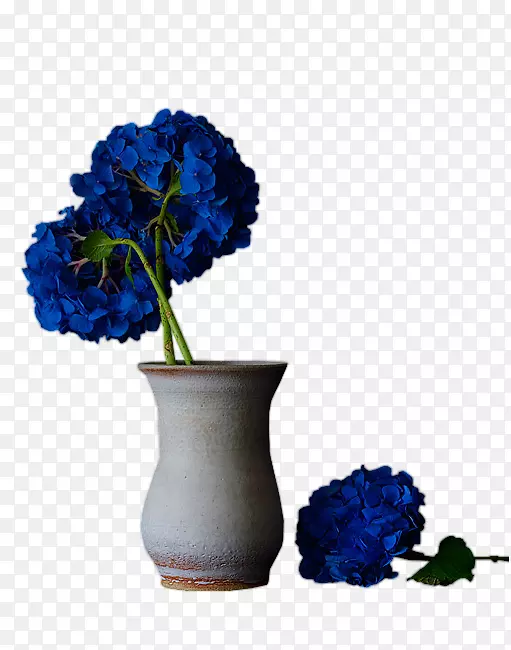 花瓶设计-布拉德皮特