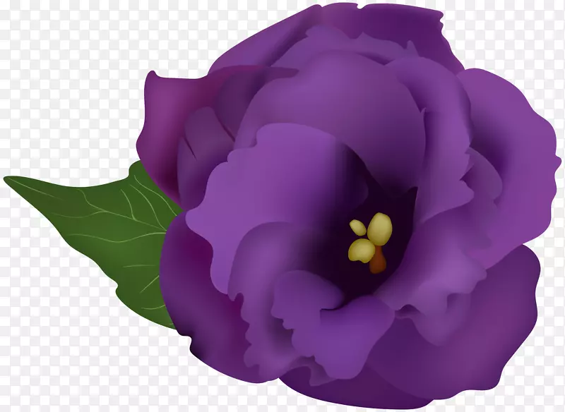 紫画剪贴画-紫花
