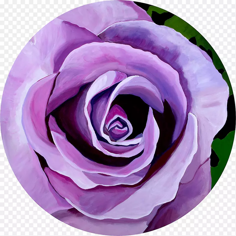 艺术切花薰衣草花园玫瑰-紫水晶