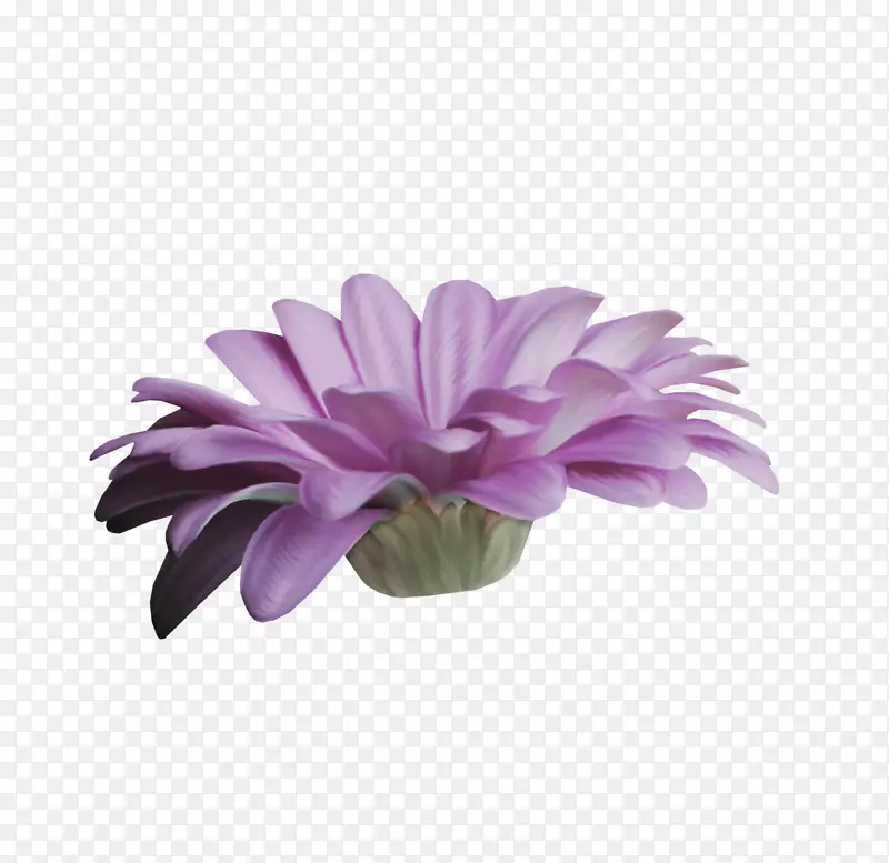 薰衣草紫罗兰紫花-神秘