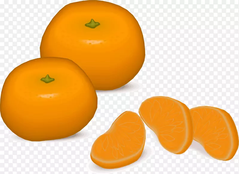橘子夹子艺术-桔子