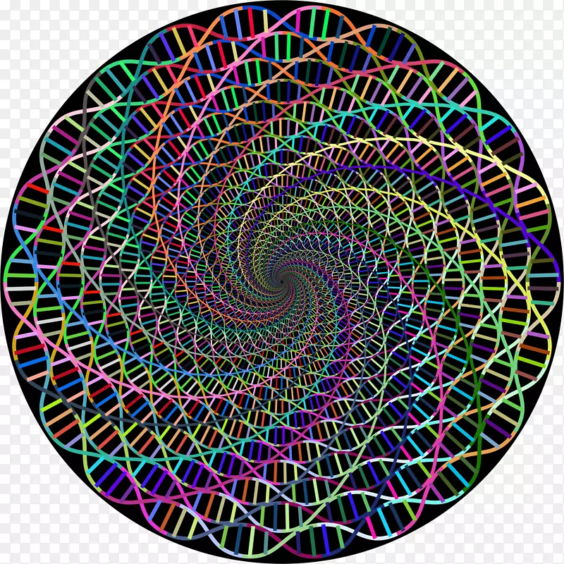 曲线圆螺旋夹艺术-旋涡