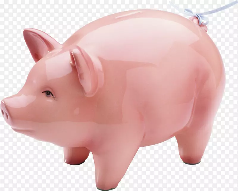 猪陶瓷家猪动画-猪