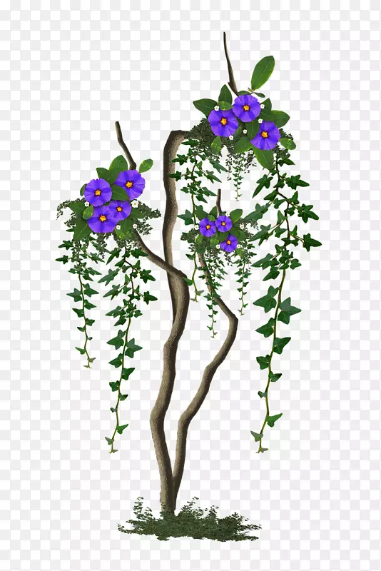 花卉设计枝条丁香