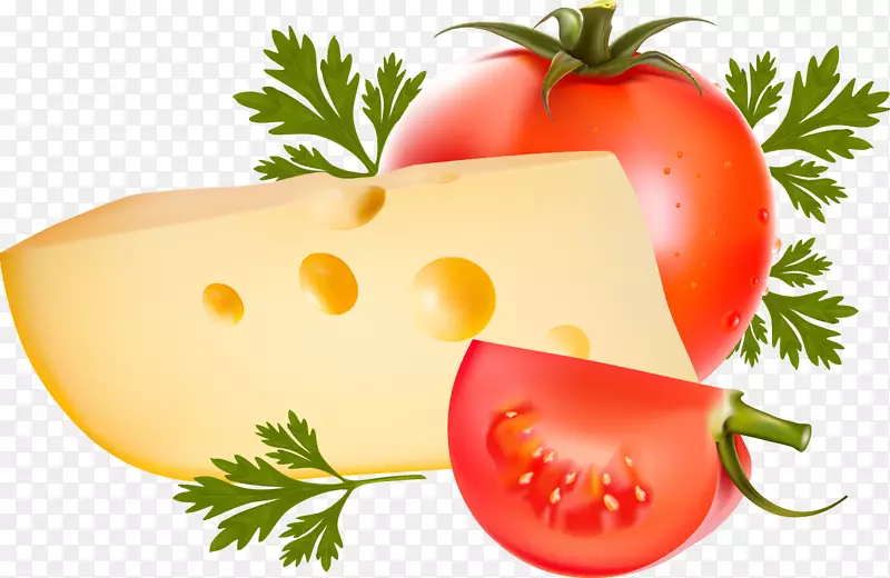 奶酪和番茄三明治食品剪贴画-奶酪