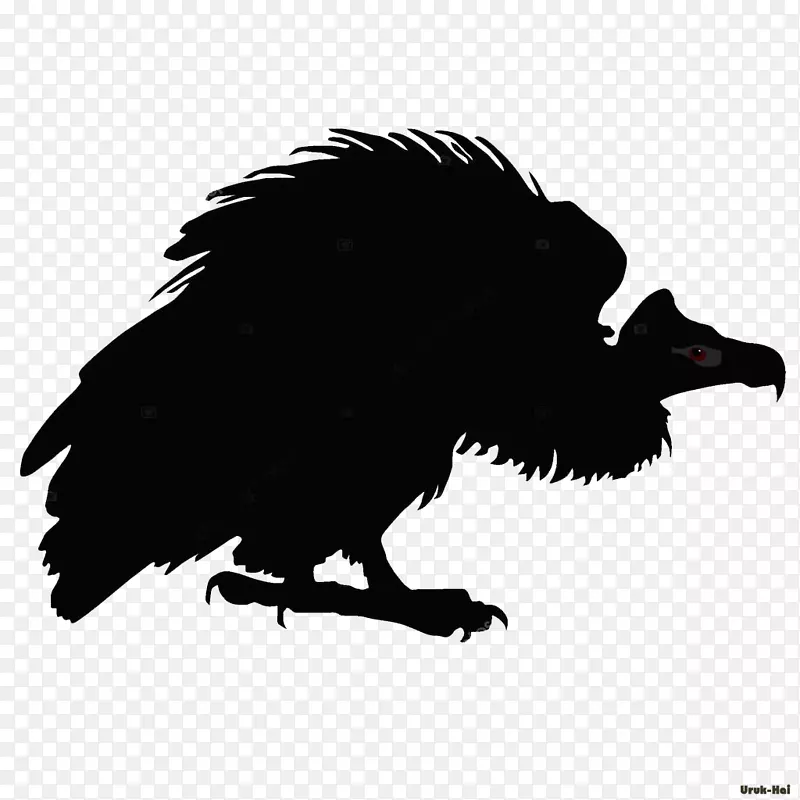 土耳其秃鹫画线艺术-秃鹫