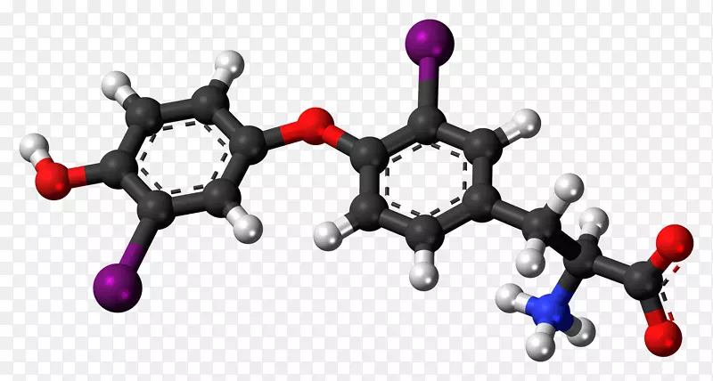 酪氨酸多巴胺氨基酸左旋多巴苯丙氨酸分子