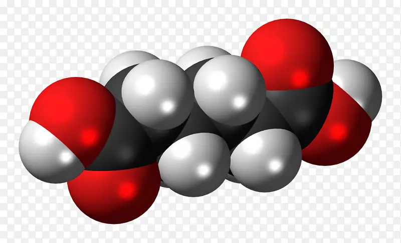 α-亚麻酸丁酸ω-3脂肪酸分子