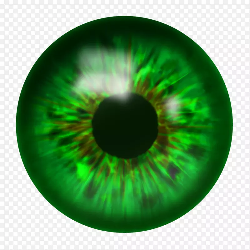 眼睛电脑图标.虹膜