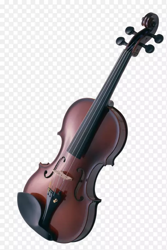 小提琴乐器弦乐器大提琴乐器