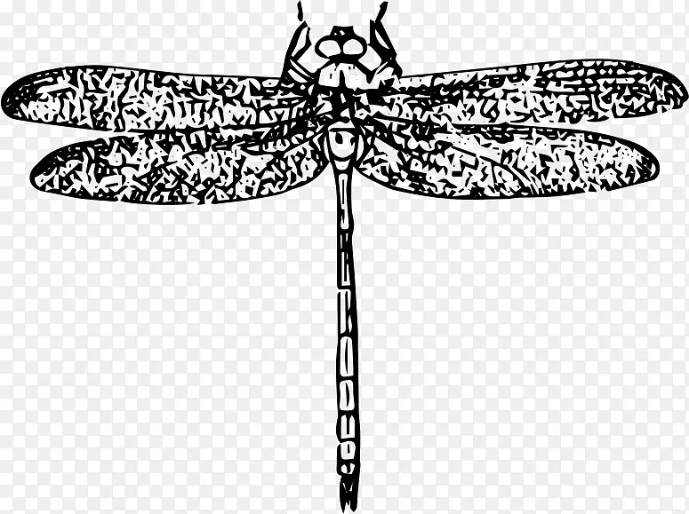 昆虫翼蜻蜓